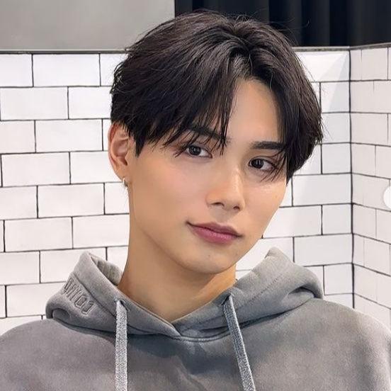 Wig Short Cut Men