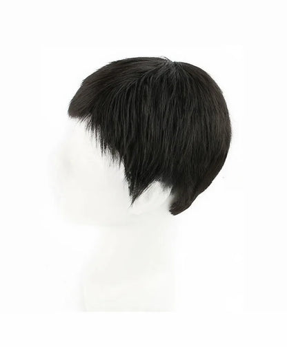 Wig Synthetic Short Men