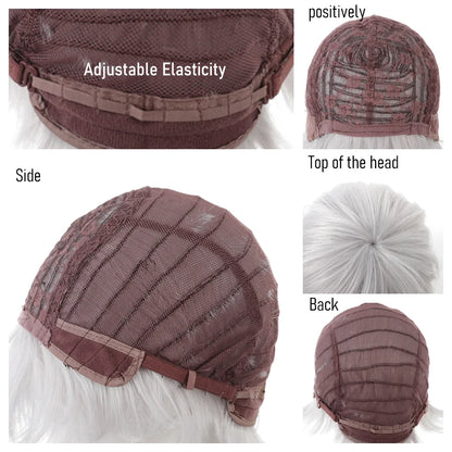 Wig Synthetic Cosplay Men